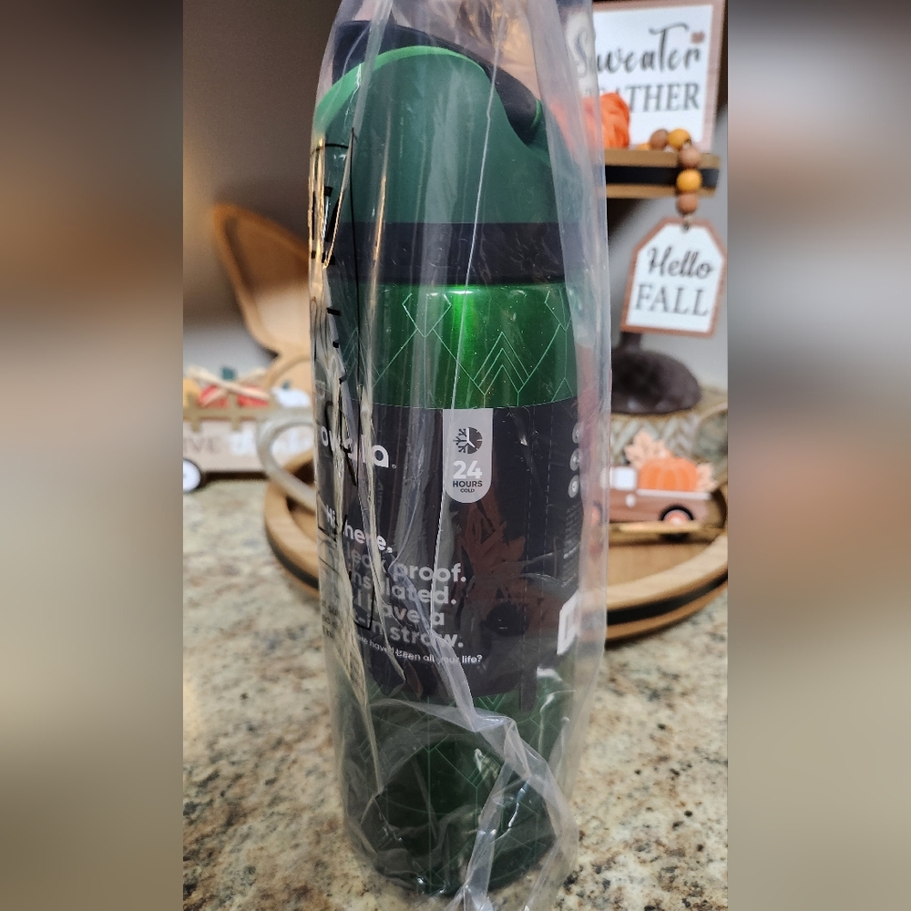 NWT Owala x Wicked Elphaba 32oz FreeSip Water Bottle - Picture 3 of 6